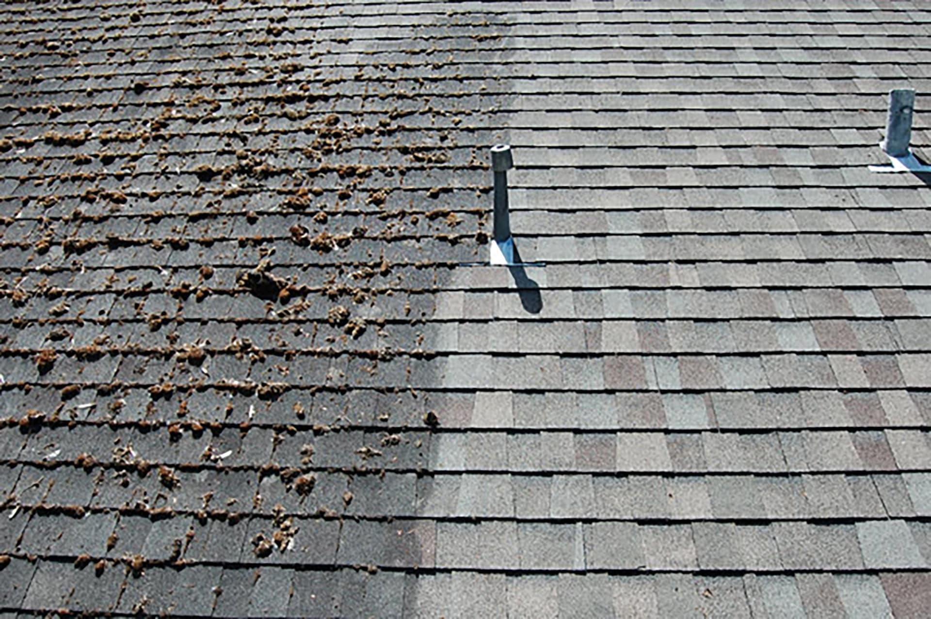 Professional roof cleaning services in NYC - before and after results