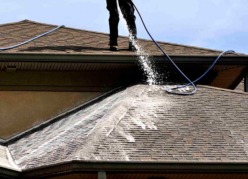Professional Roof Cleaning in New York: Restore Your Roof and Protect Your Home